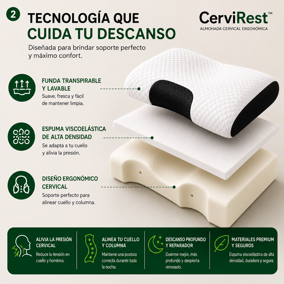 Despierta con un cuello mejor apoyado desde tu primera noche gracias a CerviRest™ y su Tecnología BioAlign™ Memory Support.